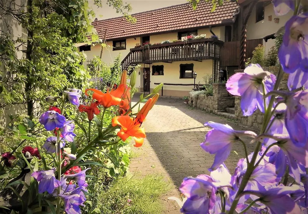 Apartment Ferienwohnung Bogentenne Eussenheim Germany