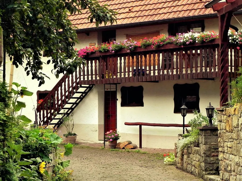 Apartment Ferienwohnung Bogentenne Eussenheim